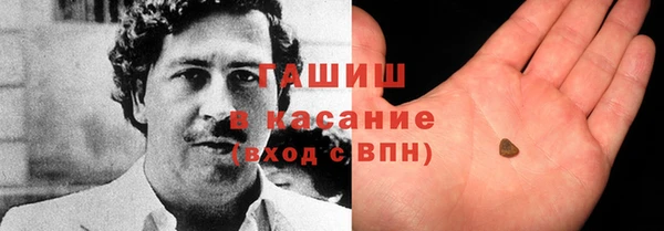 индика Алексин