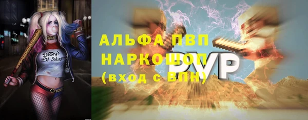 индика Алексин