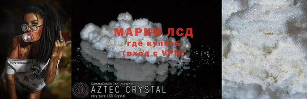 индика Алексин