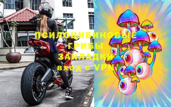 ПСИЛОЦИБИНОВЫЕ ГРИБЫ Алексеевка