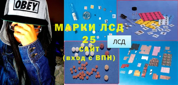 индика Алексин