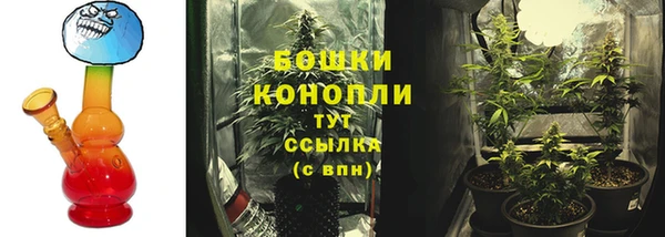 ПСИЛОЦИБИНОВЫЕ ГРИБЫ Алексеевка