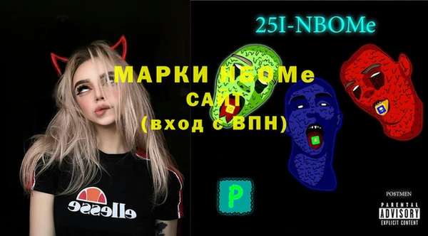 индика Алексин