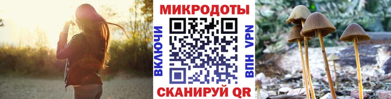 кракен tor  Джанкой  Галлюциногенные грибы Psilocybine cubensis  дарнет шоп 
